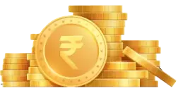 Gold Coin